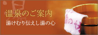 温泉のご案内 湯けむり伝えし湯の心